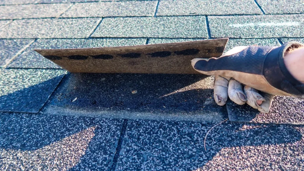A gloved hand lifts a loose asphalt shingle on a gray roof